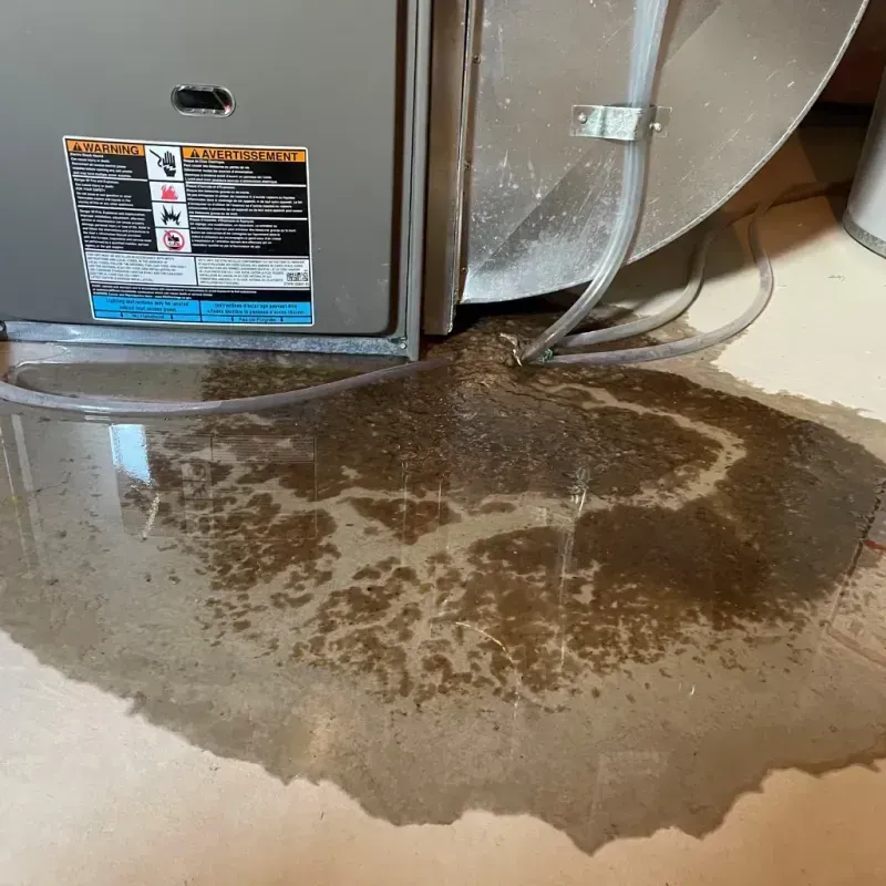 Appliance Leak Cleanup in River Road, NC